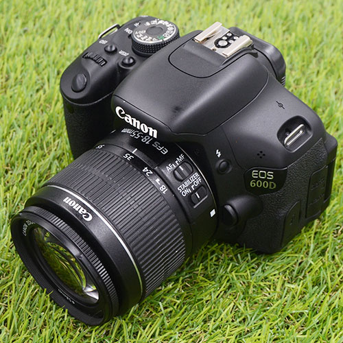 DSC_600D-1