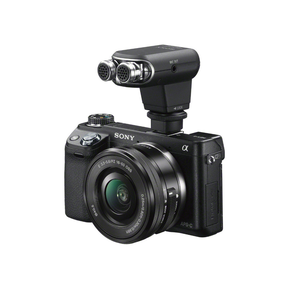 17603-1000x-6-view-7