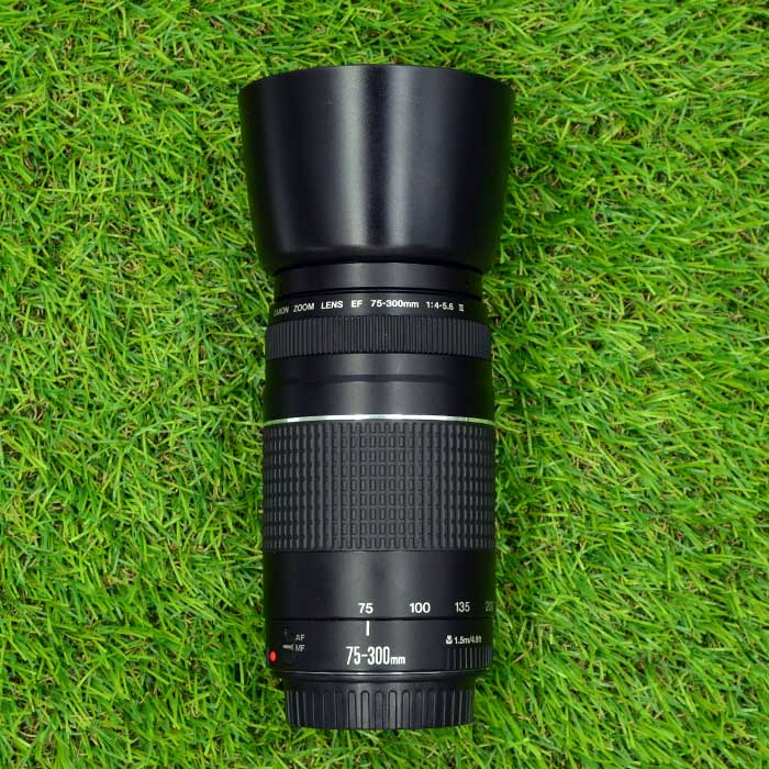 75-300mm-1